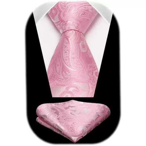 HISDERN Ties for Men Paisley Floral Tie Handkerchief Classic Woven Business Formal Necktie and Pocket Square Set Wedding
