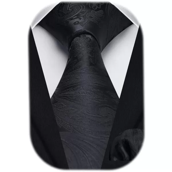 HISDERN Ties for Men Paisley Floral Tie Handkerchief Classic Woven Business Formal Necktie and Pocket Square Set Wedding