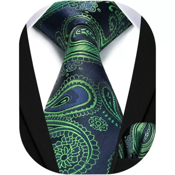 HISDERN Ties for Men Paisley Floral Tie Handkerchief Classic Woven Business Formal Necktie and Pocket Square Set Wedding