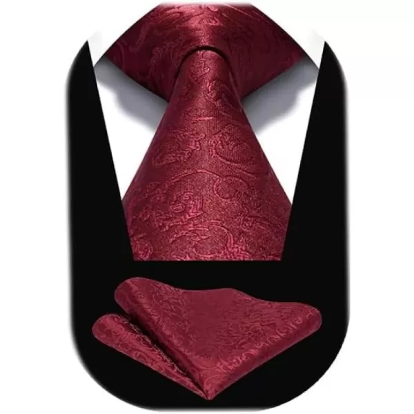 HISDERN Ties for Men Paisley Floral Tie Handkerchief Classic Woven Business Formal Necktie and Pocket Square Set Wedding