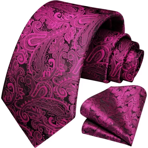 HISDERN Ties for Men Paisley Tie and Pocket Square Woven Classic Floral Mens Ties Handkerchief Set Wedding Party Necktie