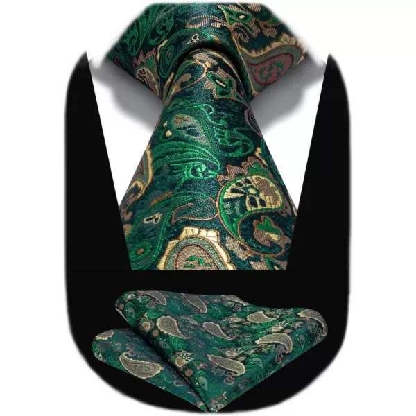 HISDERN Ties for Men Paisley Tie and Pocket Square Woven Classic Floral Mens Ties Handkerchief Set Wedding Party Necktie