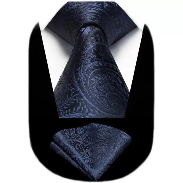 HISDERN Ties for Men Paisley Tie and Pocket Square Woven Classic Floral Mens Ties Handkerchief Set Wedding Party Necktie