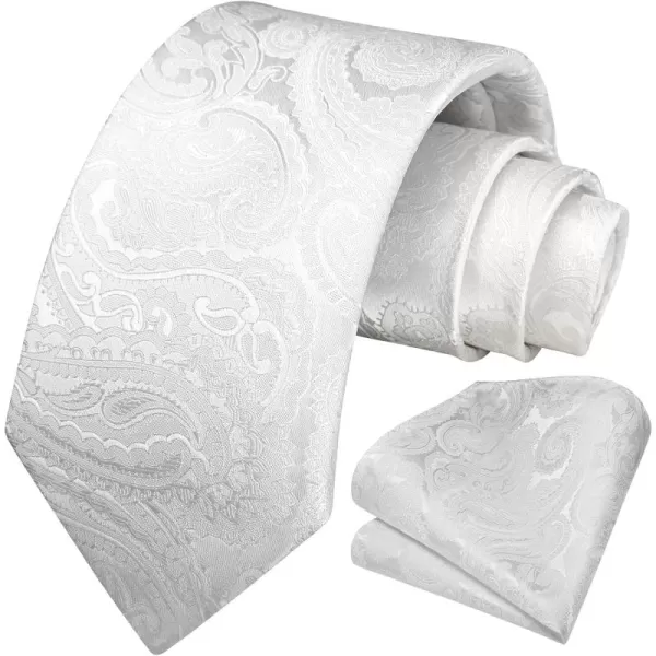 HISDERN Ties for Men Paisley Tie and Pocket Square Woven Classic Floral Mens Ties Handkerchief Set Wedding Party Necktie