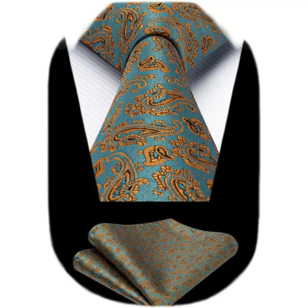HISDERN Ties for Men Paisley Tie and Pocket Square Woven Classic Floral Mens Ties Handkerchief Set Wedding Party Necktie