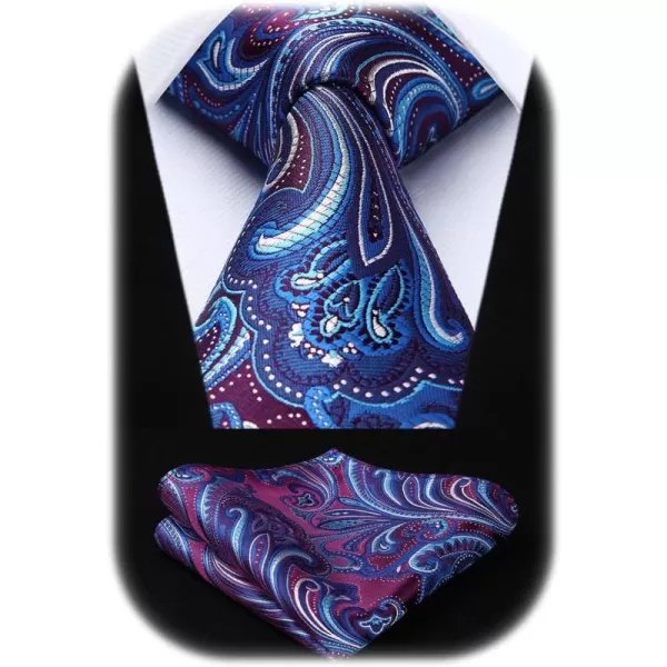 HISDERN Ties for Men Paisley Tie and Pocket Square Woven Classic Floral Mens Ties Handkerchief Set Wedding Party Necktie