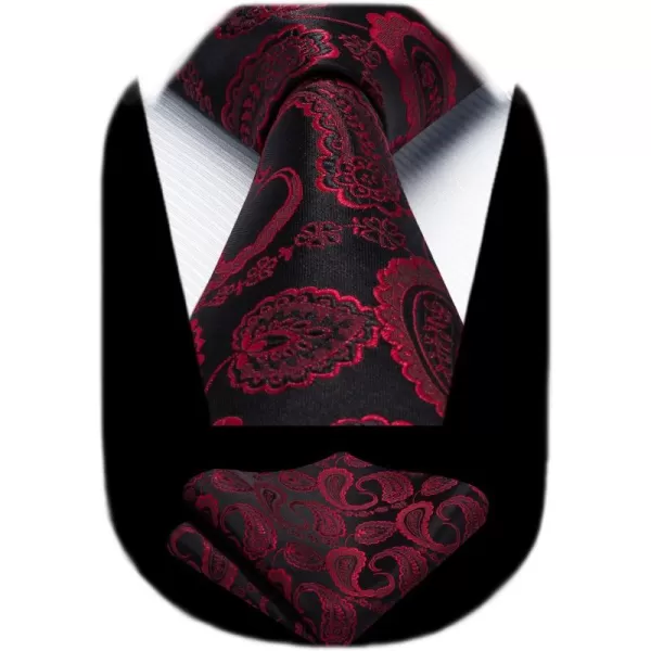 HISDERN Ties for Men Paisley Tie and Pocket Square Woven Classic Floral Mens Ties Handkerchief Set Wedding Party Necktie
