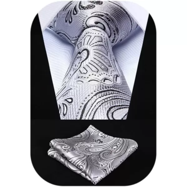 HISDERN Ties for Men Paisley Tie and Pocket Square Woven Classic Floral Mens Ties Handkerchief Set Wedding Party Necktie