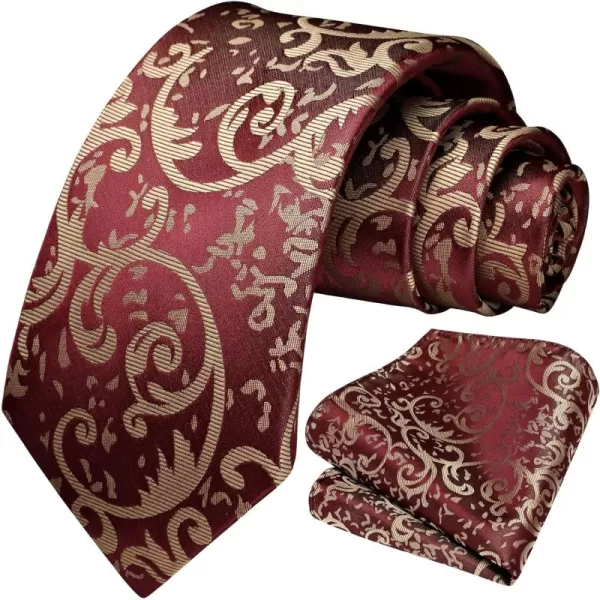 HISDERN Ties for Men Paisley Tie and Pocket Square Woven Classic Floral Mens Ties Handkerchief Set Wedding Party Necktie