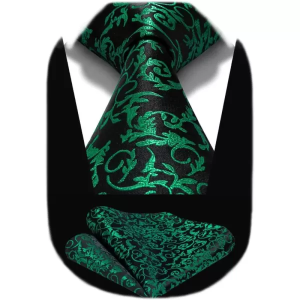 HISDERN Ties for Men Paisley Tie and Pocket Square Woven Classic Floral Mens Ties Handkerchief Set Wedding Party Necktie