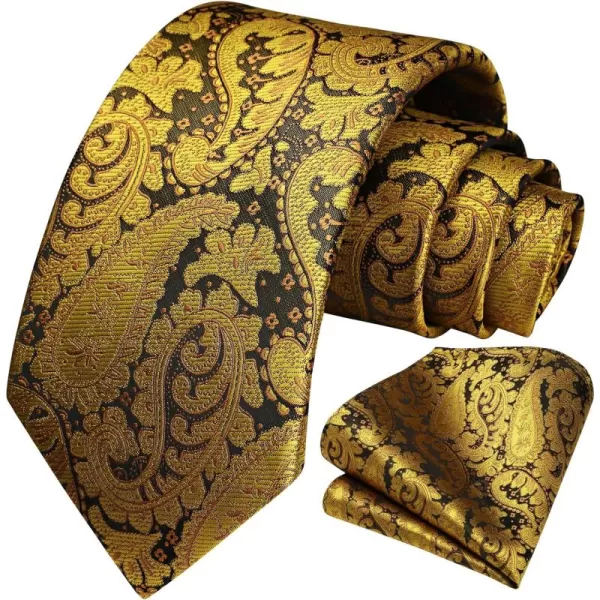 HISDERN Ties for Men Paisley Tie and Pocket Square Woven Classic Floral Mens Ties Handkerchief Set Wedding Party Necktie
