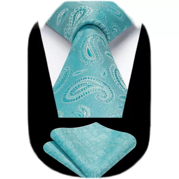 HISDERN Ties for Men Paisley Tie and Pocket Square Woven Classic Floral Mens Ties Handkerchief Set Wedding Party Necktie