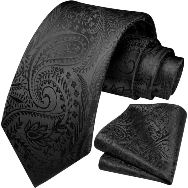 HISDERN Ties for Men Paisley Tie and Pocket Square Woven Classic Floral Mens Ties Handkerchief Set Wedding Party Necktie