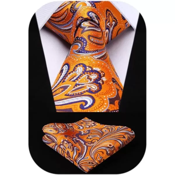HISDERN Ties for Men Paisley Tie and Pocket Square Woven Classic Floral Mens Ties Handkerchief Set Wedding Party Necktie