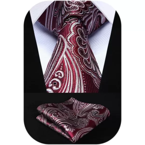 HISDERN Ties for Men Paisley Tie and Pocket Square Woven Classic Floral Mens Ties Handkerchief Set Wedding Party Necktie