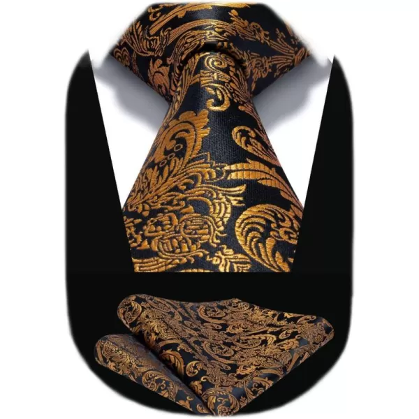 HISDERN Ties for Men Paisley Tie and Pocket Square Woven Classic Floral Mens Ties Handkerchief Set Wedding Party Necktie
