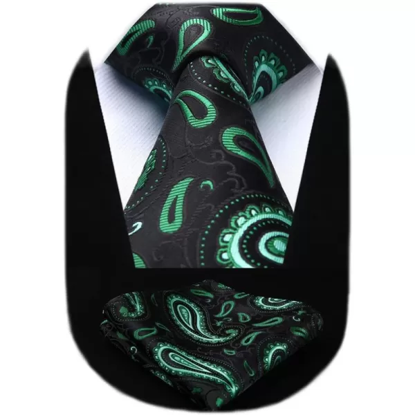 HISDERN Ties for Men Paisley Tie and Pocket Square Woven Classic Floral Mens Ties Handkerchief Set Wedding Party Necktie