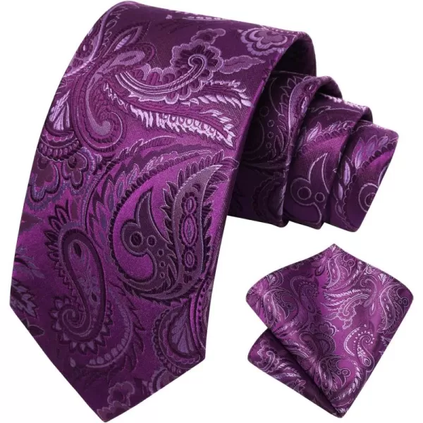 HISDERN Ties for Men Paisley Tie and Pocket Square Woven Classic Floral Mens Ties Handkerchief Set Wedding Party Necktie