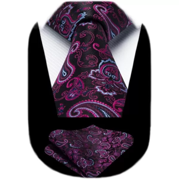 HISDERN Ties for Men Paisley Tie and Pocket Square Woven Classic Floral Mens Ties Handkerchief Set Wedding Party Necktie