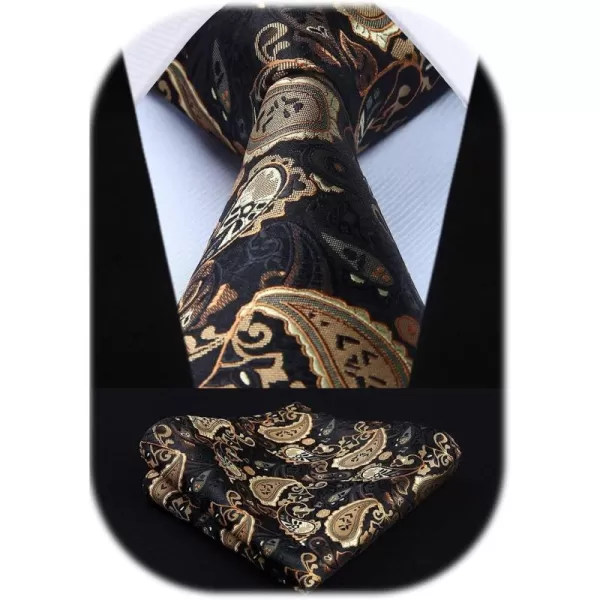 HISDERN Ties for Men Paisley Tie and Pocket Square Woven Classic Floral Mens Ties Handkerchief Set Wedding Party Necktie