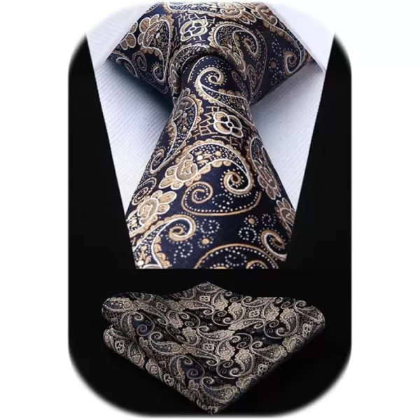 HISDERN Ties for Men Paisley Tie and Pocket Square Woven Classic Floral Mens Ties Handkerchief Set Wedding Party Necktie