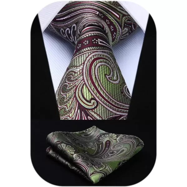 HISDERN Ties for Men Paisley Tie and Pocket Square Woven Classic Floral Mens Ties Handkerchief Set Wedding Party Necktie