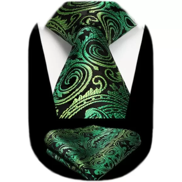 HISDERN Ties for Men Paisley Tie and Pocket Square Woven Classic Floral Mens Ties Handkerchief Set Wedding Party Necktie