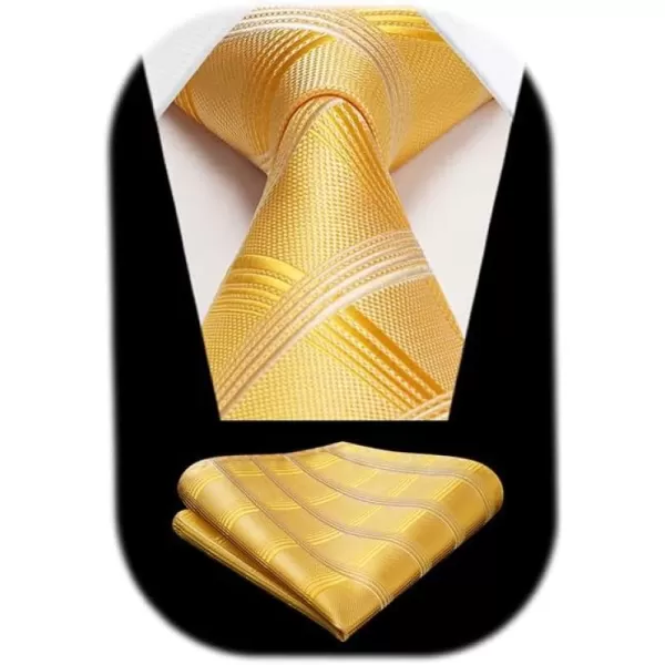 HISDERN Ties for Men Plaid Checkered Tie with Pocket Square Woven Business Formal Necktie Handkerchief Set Wedding Party