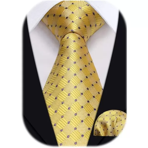 HISDERN Ties for Men Silk Extra Long Tie and Pocket Square Classic Plaid Checkered 63 inches Men's Neckties Business