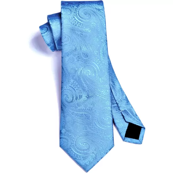HISDERN Paisley Ties for Men Solid Tie Handkerchief Floral Men's Necktie &amp; Pocket Square Set Wedding Classic Mens Ties