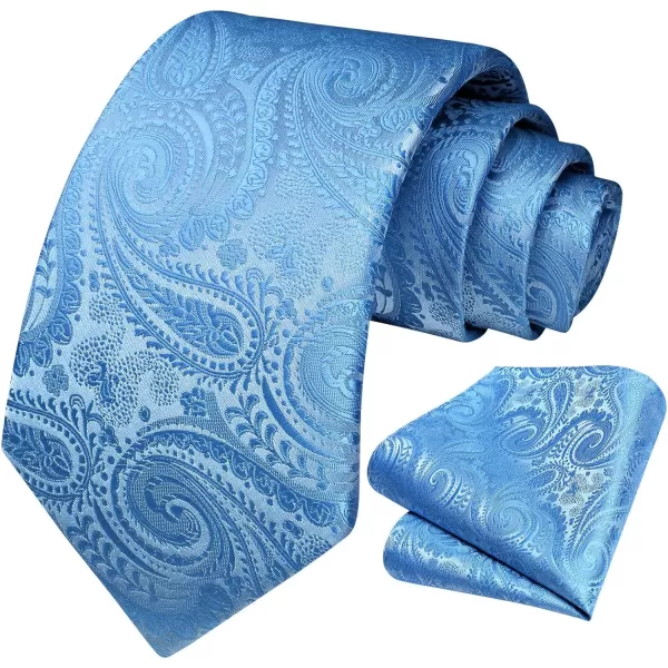 HISDERN Paisley Ties for Men Solid Tie Handkerchief Floral Men's Necktie &amp; Pocket Square Set Wedding Classic Mens Ties