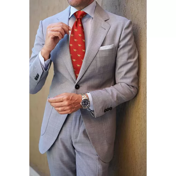 HISDERN Ties for Men Classic Fun Mens Ties Handkerchief Business Animal Tie Necktie Pocket Square Set