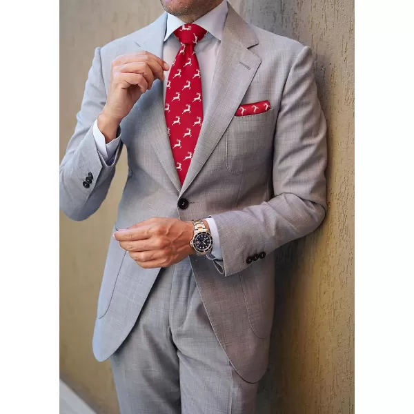 HISDERN Ties for Men Classic Fun Mens Ties Handkerchief Business Animal Tie Necktie Pocket Square Set