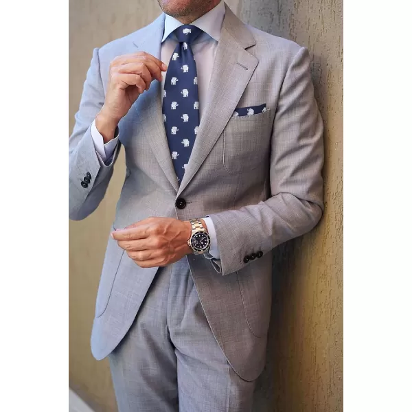 HISDERN Ties for Men Classic Fun Mens Ties Handkerchief Business Animal Tie Necktie Pocket Square Set