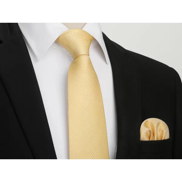 HISDERN Ties for Men Solid Mens Ties Silk Tie with Pocket Square Cufflinks Set Necktie Formal Business Wedding Party