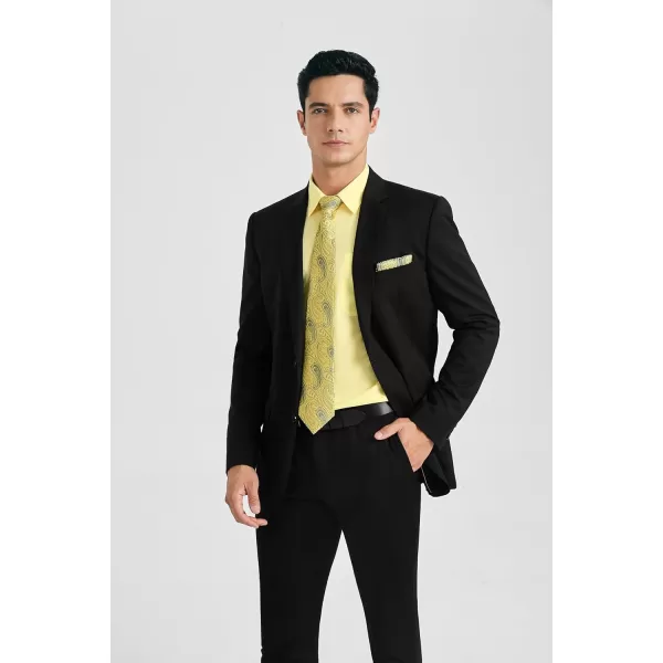 HISDERN Mens Dress Shirt Long Sleeve Matching Tie and Pocket Square Set Classic Button Down Formal Business Shirts