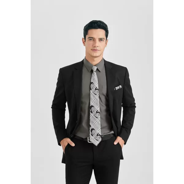 HISDERN Mens Dress Shirt Long Sleeve Matching Tie and Pocket Square Set Classic Button Down Formal Business Shirts