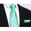 imageHISDERN Mens Solid Color Ties Formal Satin Necktie and Pocket Square Set Classic Wedding Business Tie ampamp HandkerchiefGmint Green