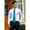 imageHISDERN Mens Solid Color Ties Formal Satin Necktie and Pocket Square Set Classic Wedding Business Tie ampamp HandkerchiefGturquoise