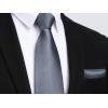 imageHISDERN Mens Solid Color Ties Formal Satin Necktie and Pocket Square Set Classic Wedding Business Tie ampamp HandkerchiefLgray
