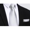 imageHISDERN Mens Solid Color Ties Formal Satin Necktie and Pocket Square Set Classic Wedding Business Tie ampamp HandkerchiefLgray White