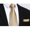 imageHISDERN Mens Solid Color Ties Formal Satin Necktie and Pocket Square Set Classic Wedding Business Tie ampamp HandkerchiefMchampagne