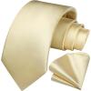 imageHISDERN Mens Solid Color Ties Formal Satin Necktie and Pocket Square Set Classic Wedding Business Tie ampamp HandkerchiefMchampagne2