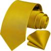 imageHISDERN Mens Solid Color Ties Formal Satin Necktie and Pocket Square Set Classic Wedding Business Tie ampamp HandkerchiefNgold2