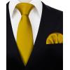 imageHISDERN Mens Solid Color Ties Formal Satin Necktie and Pocket Square Set Classic Wedding Business Tie ampamp HandkerchiefNgold2