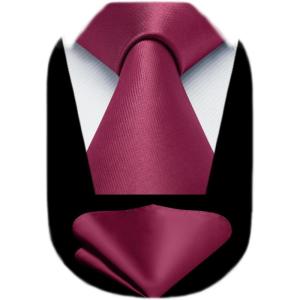imageHISDERN Mens Solid Color Ties Formal Satin Necktie and Pocket Square Set Classic Wedding Business Tie ampamp HandkerchiefDburgundy2
