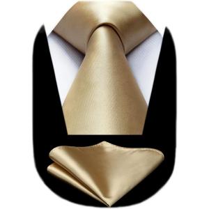 imageHISDERN Mens Solid Color Ties Formal Satin Necktie and Pocket Square Set Classic Wedding Business Tie ampamp HandkerchiefMchampagne