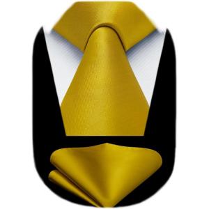 imageHISDERN Mens Solid Color Ties Formal Satin Necktie and Pocket Square Set Classic Wedding Business Tie ampamp HandkerchiefNgold2