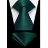 imageHISDERN Mens Ties Solid Color Ties for Men Formal Necktie with Pocket Square Set Satin Silk Neck Tie Handkerchiefs SetBgreen Emerald Dark