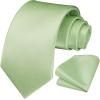 imageHISDERN Mens Ties Solid Color Ties for Men Formal Necktie with Pocket Square Set Satin Silk Neck Tie Handkerchiefs SetBgreen Sage Bright